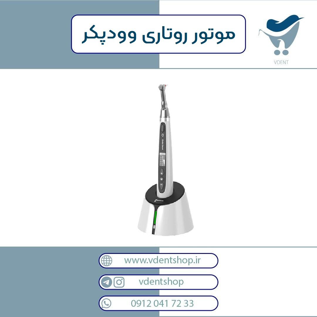 روتاری Woodpecker مدل Endo smart