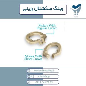 رینگ سکشنال رزینی